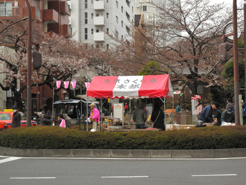 桜　090328-017.jpg